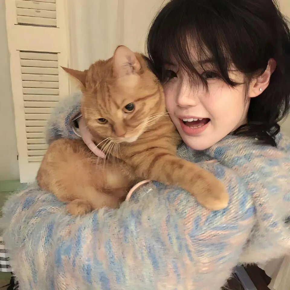 我的英雄学院：YOU'RE NEXT